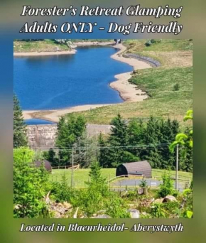 Forester's Retreat Glamping - Dinas View